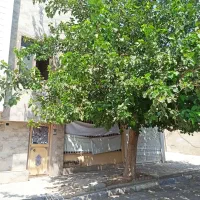 خانه-و-مغازه