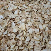موسیر خشک کوهی