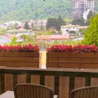 دو عدد فلاور باکس ترموود