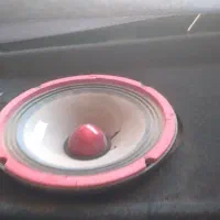 باند خانگی
