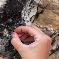 مونایی سیاه معجزه قرن ازدل طبیعت قوای جنسی