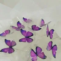 دسته گل پروانه