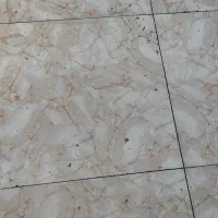سلام استاد کاشی کار