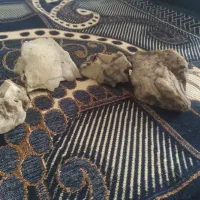 سنگ برای فروش