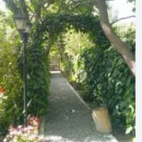 رسیدگی ب باغ و ویلا و هرس کاری