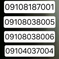 4 خط دائم