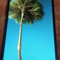 گوشی شیامی ردمی۱۲