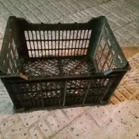 سبد گوجه