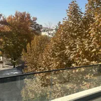 کلنگی-تجاری-با-پروانه