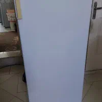 فریزر سرخ کن خرد کن