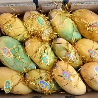 انبه درجه یک