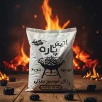پخش زغال کبابی خودسوز جنگلی