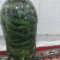 خیار شور تازه