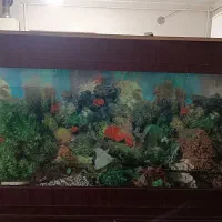 لوازم خانگی