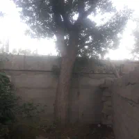 فروش-یک-قطعه-زمین-مسکونی-در-شهر-عنبران-اردبیل