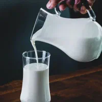 شیر|خوردنی و آشامیدنی|کامیاران, |دیوار