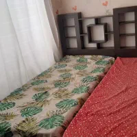 دو عدد تخت یک نفره