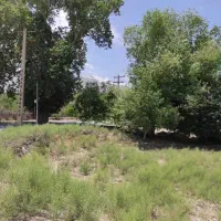 زمین مسکونی و باغ در گلباف