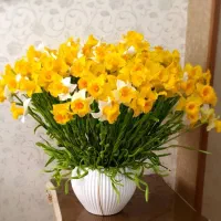 گل‌های دست ساز ایتالیایی