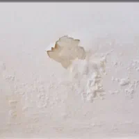 لکه گیری گچ