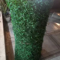 چمن حصاری