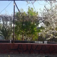 5000-متر-گلخانه-شهرک-کوثر-دستجرد-قابل-تهاتر