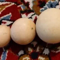 سنگ الماس آسیاب