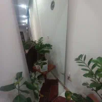 آینه|آینه|قائم‌شهر, |دیوار