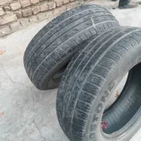 لاستیک ساینایی