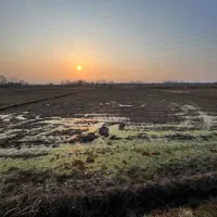 فروش-زمین-کشاورزی