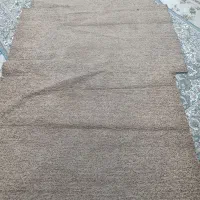 موکت پالاز