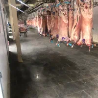نیرو ساده نضافت تمیز کاری