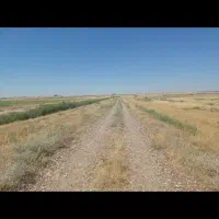 کشاورزی|فروش زمین و ملک کلنگی|شوش, |دیوار