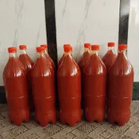 رب خانگی