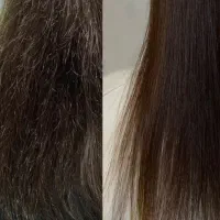 موخوره گیری فقط ۳۵۰هزارتومن