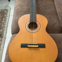گیتار پارسی M2