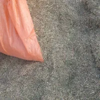 کاه یونجه مرغوب