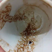 فال چای