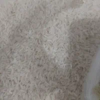 برنج هاشمی امساله و پارساله از کشاورز درجه ۱