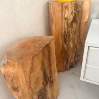 تنه چوب دکوری