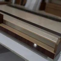 چینه دان پرنده