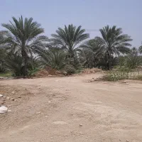 فروش-زمین-ویلای-مسکونی-و-تجاری-سرخون