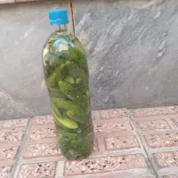 فروش خیارشور