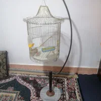 قفس پرنده  آویز