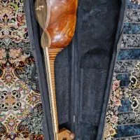 تار دلنوازان