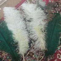 کلاه خود