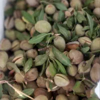 بادام آجیلی کاغذی