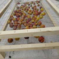میوه خشک کن خورشیدی