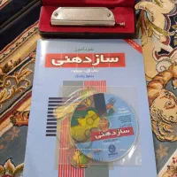 ساز دهنی