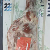 سردست گوسفند یخی